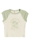 Billabong Paradise Colorblock Cotton Graphic T-shirt In Pistachio