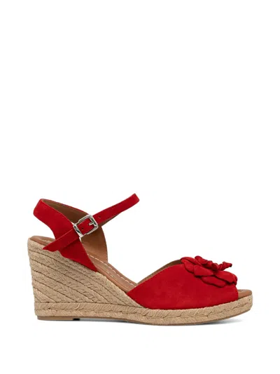 Billi Bi Floral-detail Wedge Sandals In Animal Print