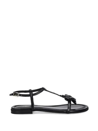 Billi Bi Flower-detail T-strap Sandals In Black