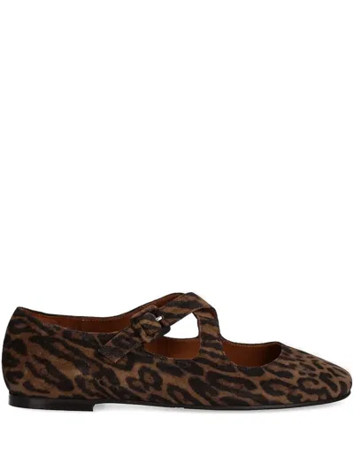 Billi Bi Leopard-print Buckle Ballet Flats In Brown