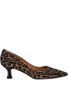 Billi Bi Leopard Print Kitten Heel Pumps In Brown