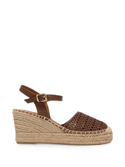 Billi Bi Perforated Wedge Espadrilles In Brown