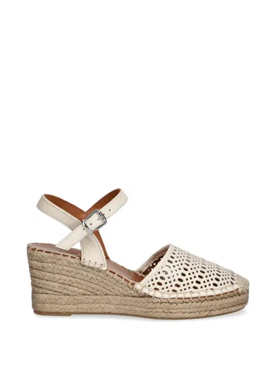Billi Bi Perforated Wedge Espadrilles In Neutral
