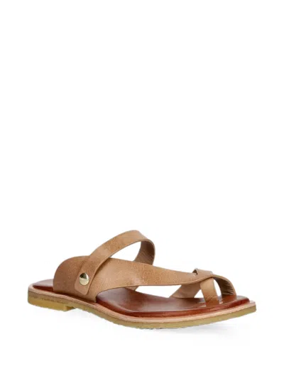 Billi Bi T7002 Crossover-strap Toe-loop Sandals In Brown