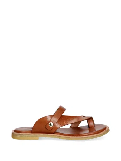 Billi Bi Toe-strap Slip-on Sandals In Brown