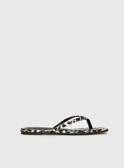 Billini Women's Tove Flip Flops In Leopard In Multi