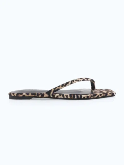 Billini Women's Tove Thong Sandal In Leopard Satin In Multi