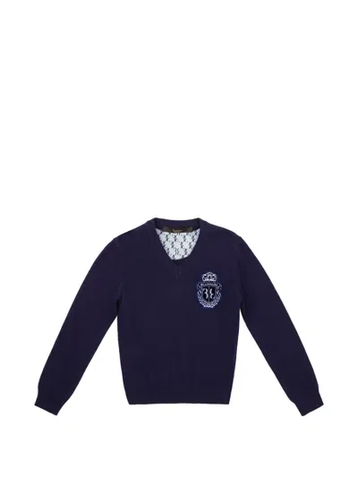 Billionaire Kids' Sean V-neck Sweater In Blue