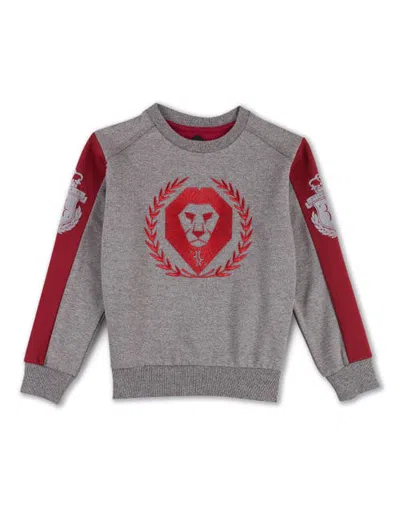 Billionaire Kids'  Sweatshirt Ls "light Lord" Boy In Darkgreymelange