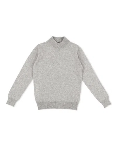 Billionaire Kids'  Turtle Neck Ls Crest Boy In Grey