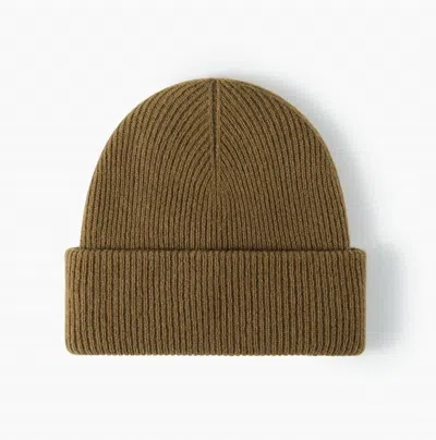 Billy Bamboo Women's Merino Wool Beanie In Olive In Brown