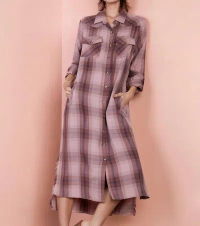 Billy T Roundabout Shirtdress In Espresso Plaid In Purple