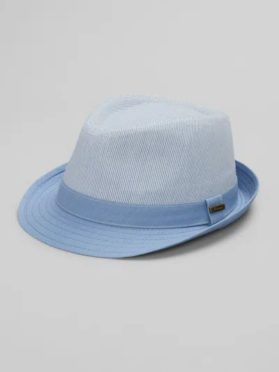 Biltmore Pinstripe Linen-blend Fedora In Blue