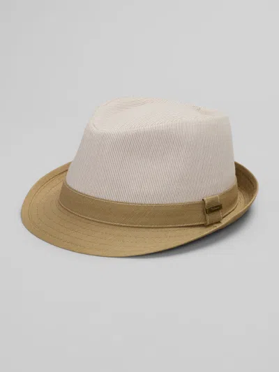 Biltmore Pinstripe Linen-blend Fedora In Brown