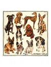 Bimba Y Lola Dog-print Scarf In Multi
