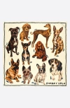 Bimba Y Lola Dog Print Scarf In Neutral
