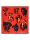 Bimba Y Lola Dog-print Scarf In Red
