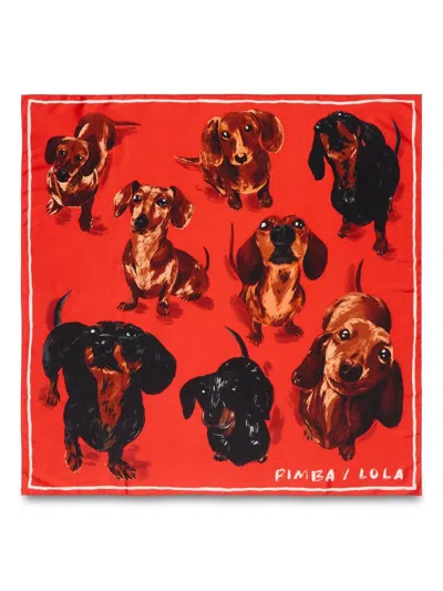 Bimba Y Lola Dog-print Scarf In Red