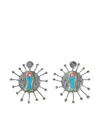 Bimba Y Lola Enamel Fish Earrings In Gray