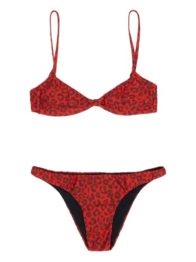 Bimba Y Lola Mónica Leopard-print Bikini In Burgundy