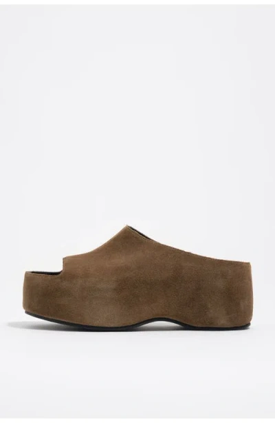 Bimba Y Lola Suede Platform Sandals In Brown