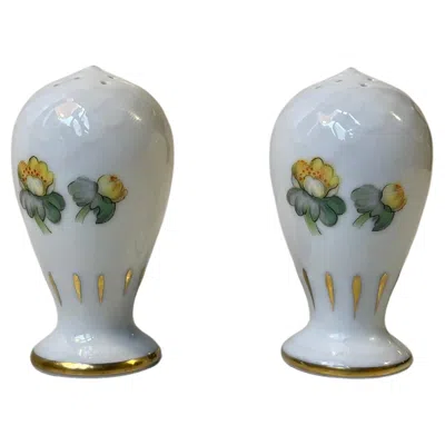 Pre-owned Bing & Grøndahl Porcelain Salt And Pepper Shakers With Hand-painted Errants By Bing & Grondahl In Gray