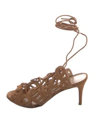 Pre-owned Bionda Castana Suede Gladiator Sandals In Brown