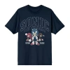 Bioworld Mens Short Sleeve Sonic The Hedgehog Graphic T-shirt In Blue