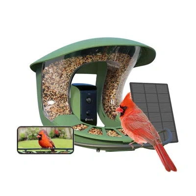 Birdfy 2 Smart Bird Feeder With Camera, 1080p Hd, Ai Bird Recognition, Wireless, Weatherproof, Eco-friendly In Green