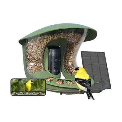 Birdfy 2 Smart Bird Feeder With Camera, Dual-lens, 2k Portrait & 1080p Wide-angle, Ai Identifies 6000+ Bird In Green