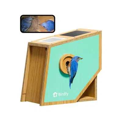 Birdfy Bamboo Bird House Polygon,2mp Camera, 1080p Video & Night Vision, Ai, Solar-powered, All-weather In Blue;brown