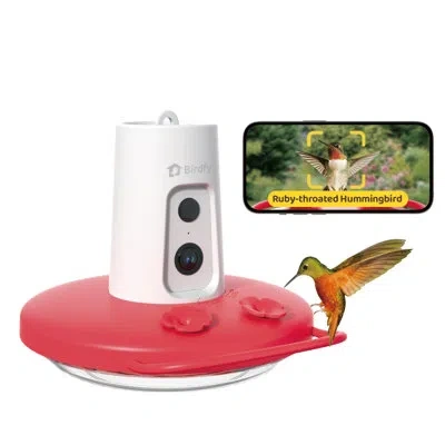 Birdfy Humming Bird Feeder With Camera, 1080p Fhd Hummingbird Feeder Camera With Ant Moat, 9000 Mah Recharg In Red And White