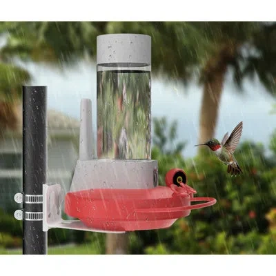 Birdfy Netvue  Hummingbird Feeder With 2 Cameras Solar Powered - Dual Smart Cams, 2k Hd Wireless For  In Red