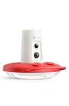 Birdfy Ruby Smart Hummingbird Feeder In Red