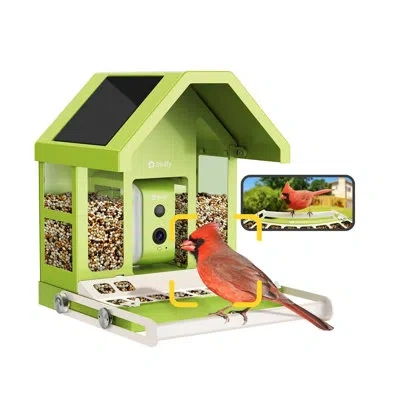Birdfy Smart Bird Feeder With Camera, Durable Metal Bird Feeders For Outdoors, Ai Identify Bird Species, In In Green