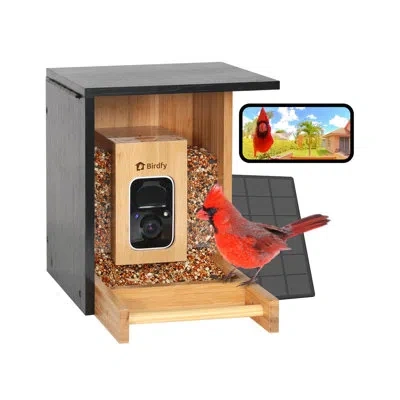 Birdfy Smart Bird Feeder With Camera, High- End Bamboo, Mini In Size, Solar Powered, Auto Capture Birds & N
