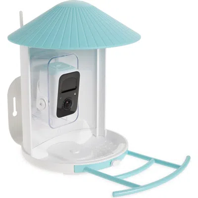Birdfy Solar-powered Smart Bird Feeder With Camera In Blue