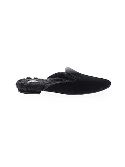 Pre-owned Birdies Mule/clog In Black