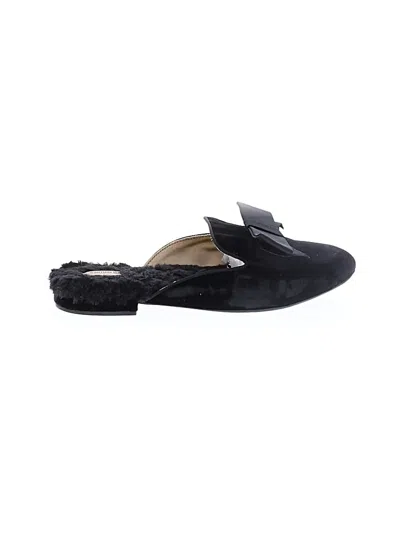 Pre-owned Birdies Mule/clog In Black