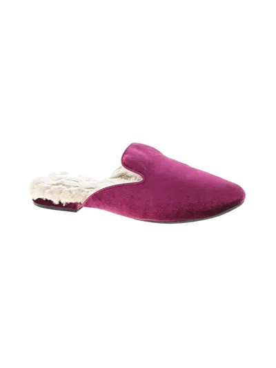 Pre-owned Birdies Mule/clog In Burgundy