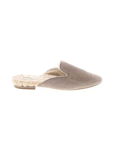 Pre-owned Birdies Mule/clog In Gray