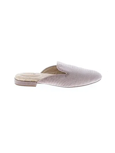 Pre-owned Birdies Mule/clog In Gray