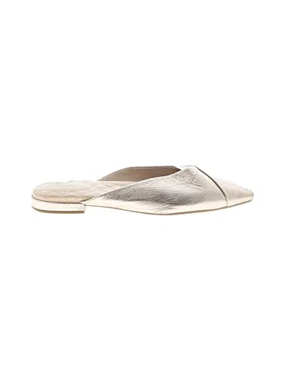 Pre-owned Birdies Mule/clog In Silver