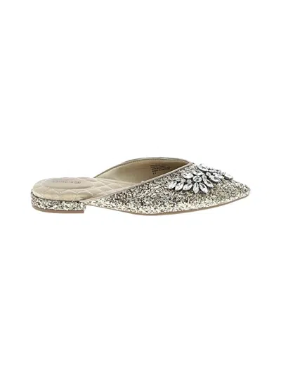 Pre-owned Birdies Mule/clog In Silver