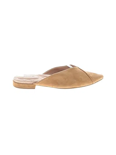 Pre-owned Birdies Mule/clog In Tan