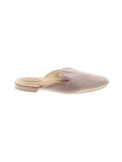 Pre-owned Birdies Mule/clog In Tan