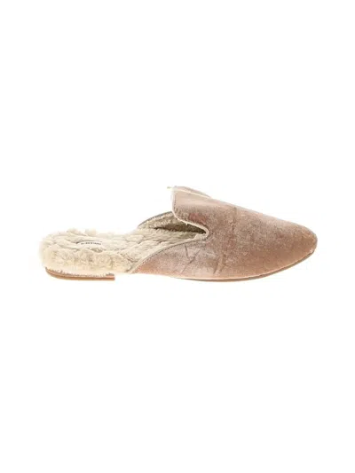 Pre-owned Birdies Mule/clog In Tan