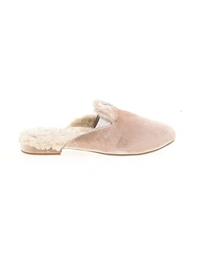 Pre-owned Birdies Mule/clog In Tan