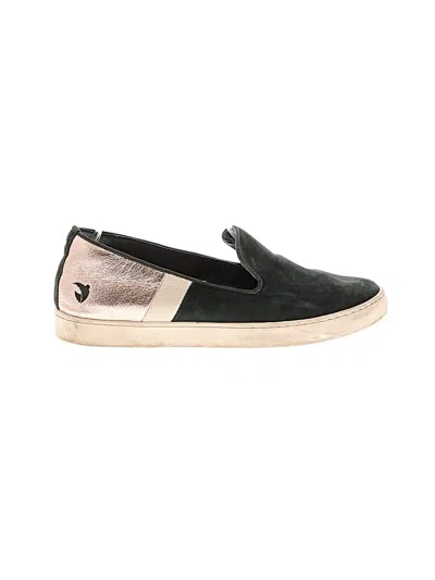 Pre-owned Birdies Sneakers In Green