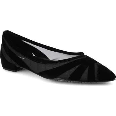 Birdies The Goldfinch 15 Velvet Mesh In Black